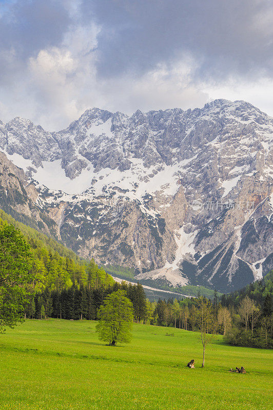 Zgornje Jezersko山谷春景